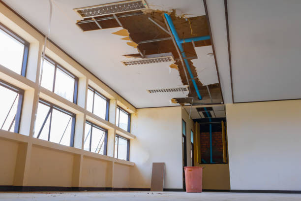 Best 24-hour water damage restoration  in Andover, MN
