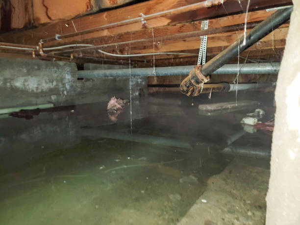  Andover, MN Water damage restoration Pros