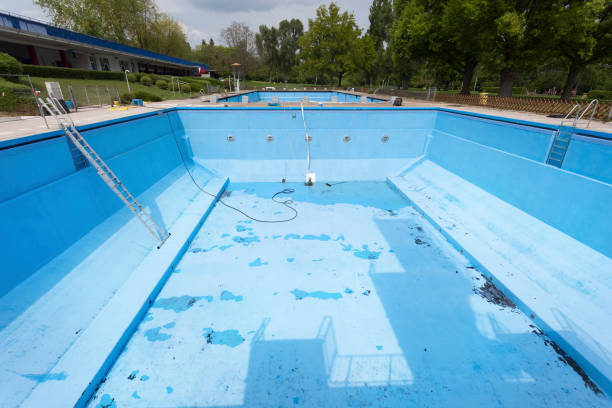 Best Local water damage restoration  in Andover, MN