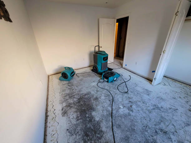 Best Carpet water damage restoration  in Andover, MN