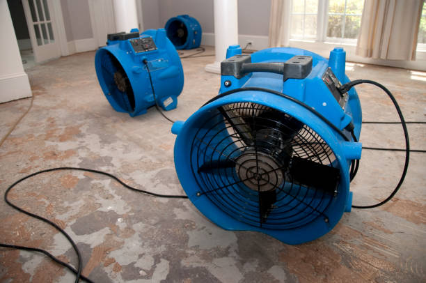 Best Water damage contractors near me  in Andover, MN