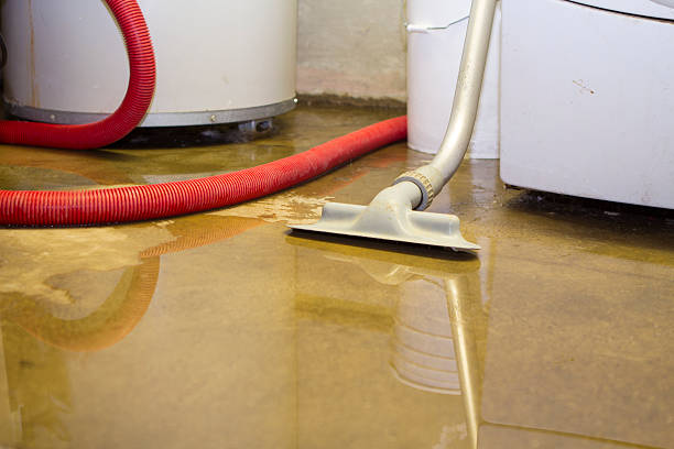 Best Water damage restoration near me  in Andover, MN